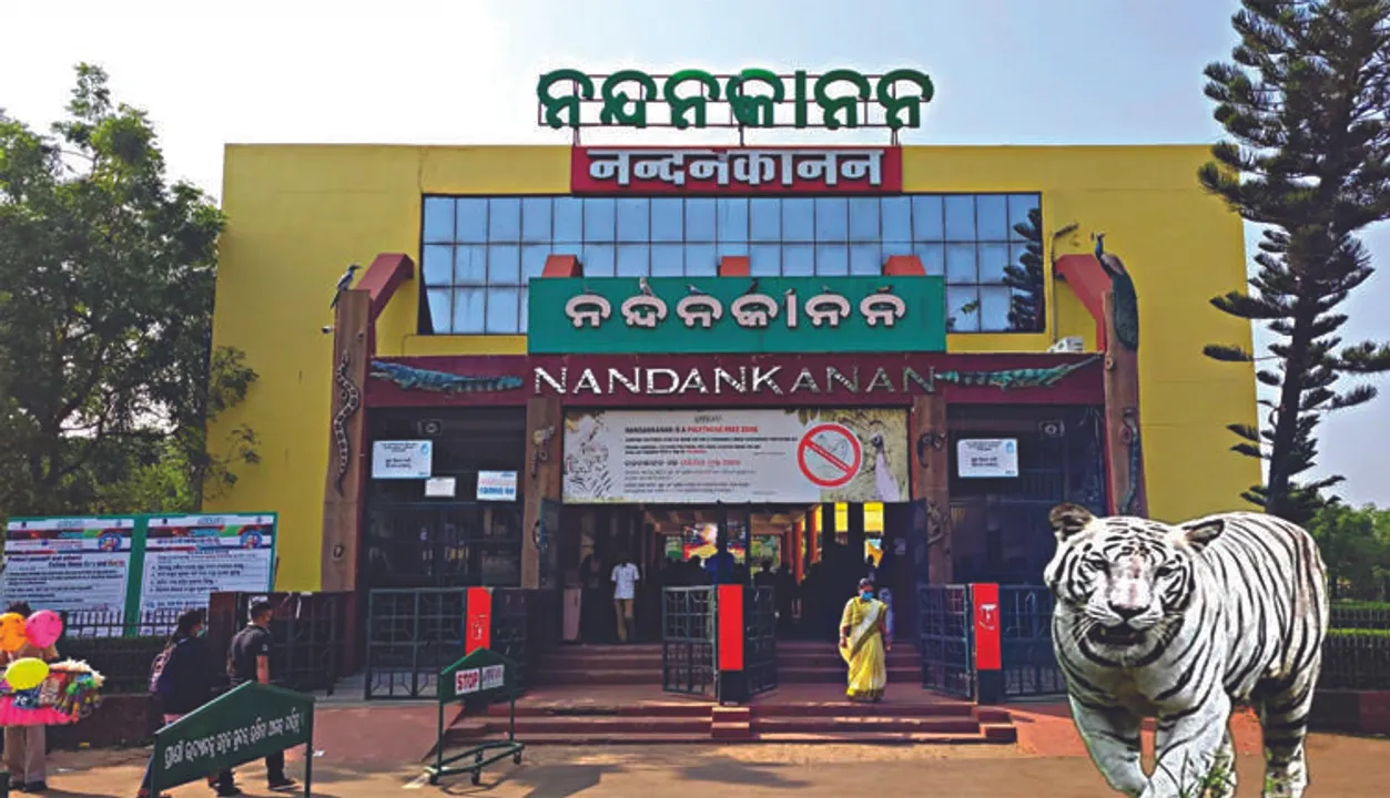  Odisha: Nandankanan records highest ever footfall