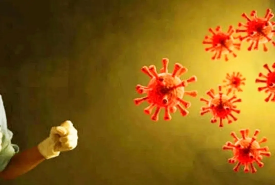  Myanmar detects closest known relatives of Covid virus in humans