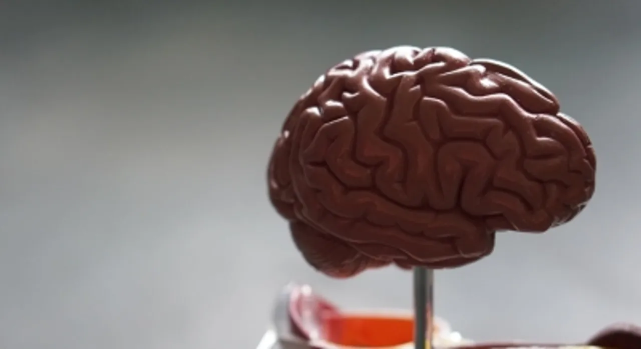  MIND, Mediterranean diets may help prevent Alzheimer's disease