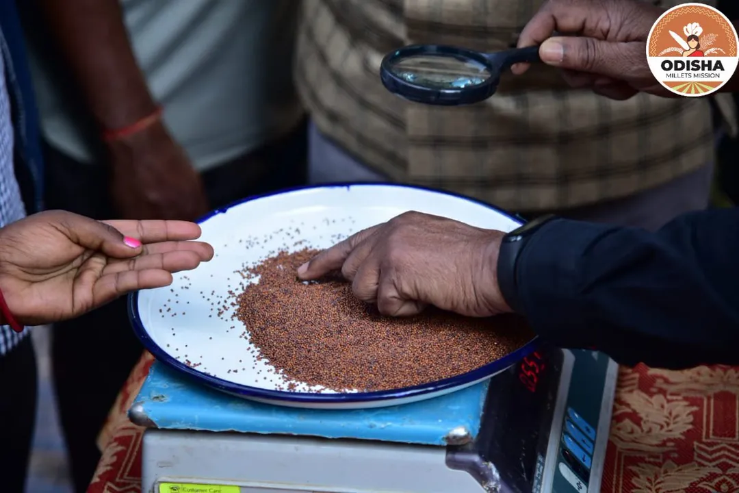  Grammy winner Ricky Kej composes theme song of Odisha Millets Mission [Watch]