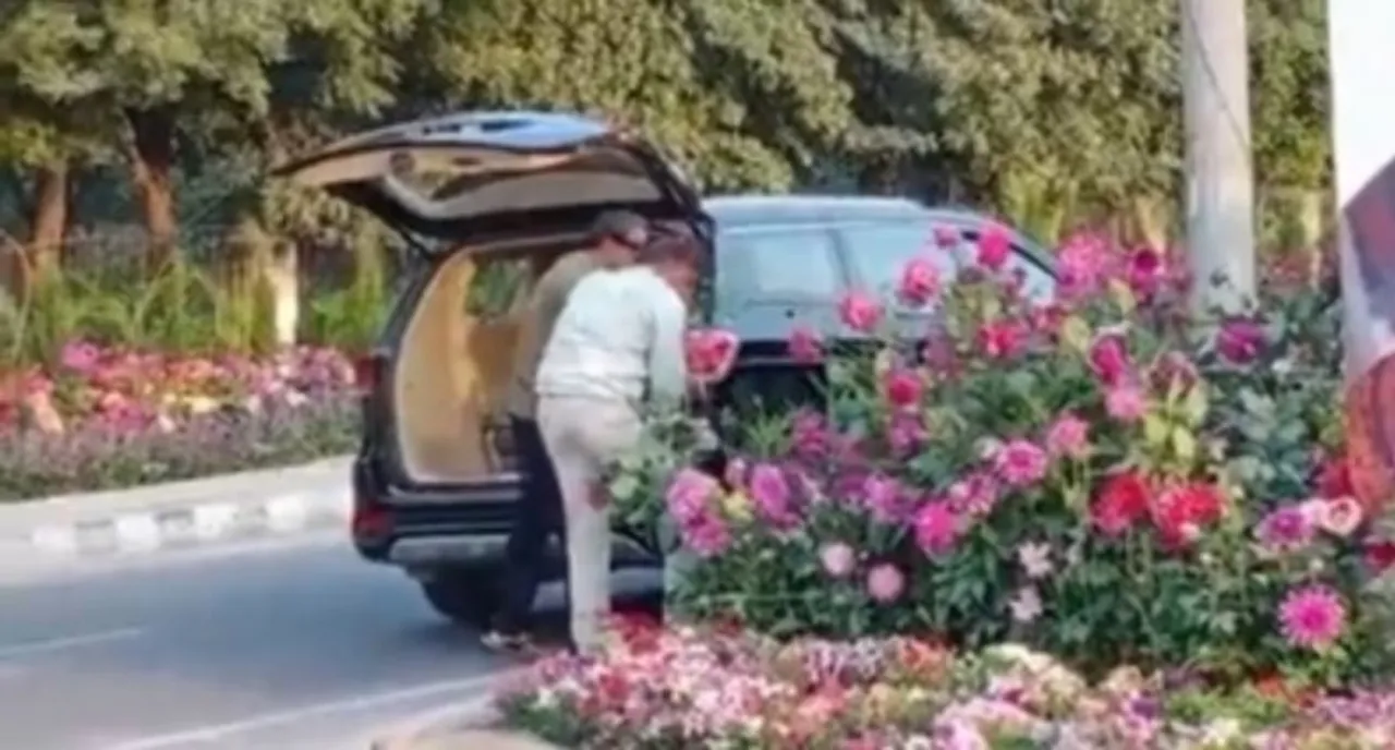  Men in 'luxury car' caught stealing flower pots on Delhi-Jaipur Expressway in Gurugram