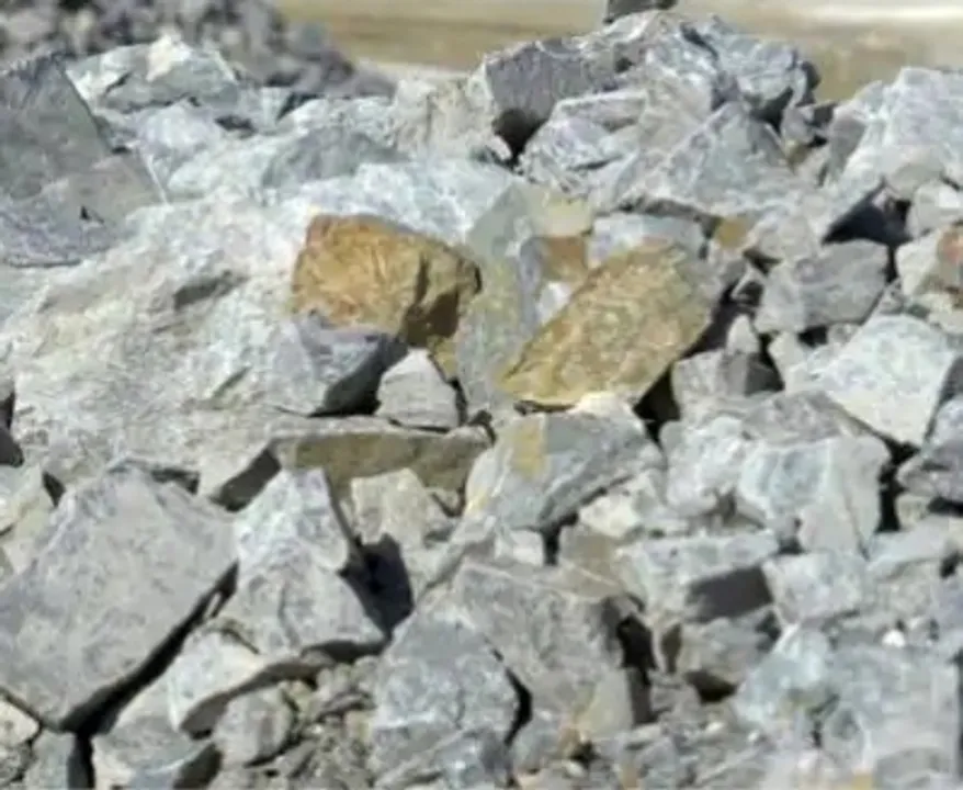  Govt exploring possibilities of investing in lithium mines in Argentina, Australia