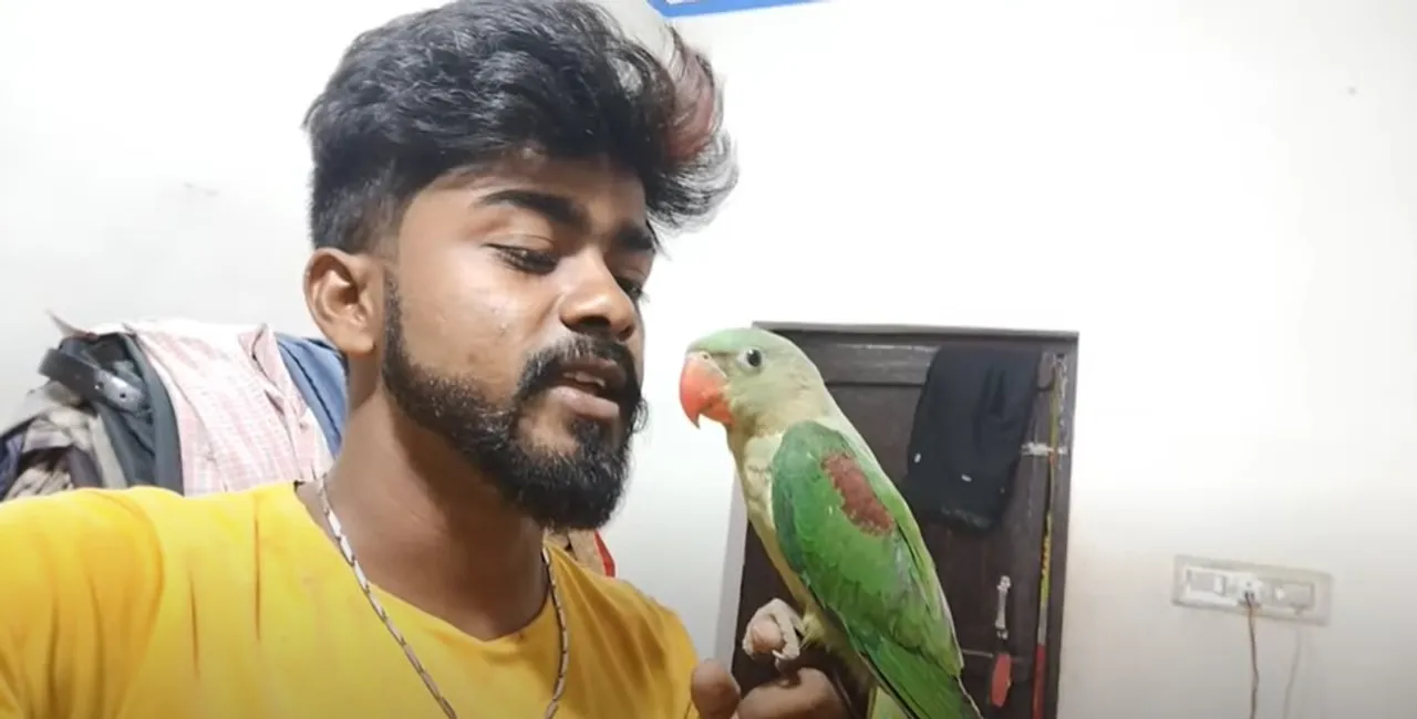  Odisha YouTuber arrested for 'training' parrot