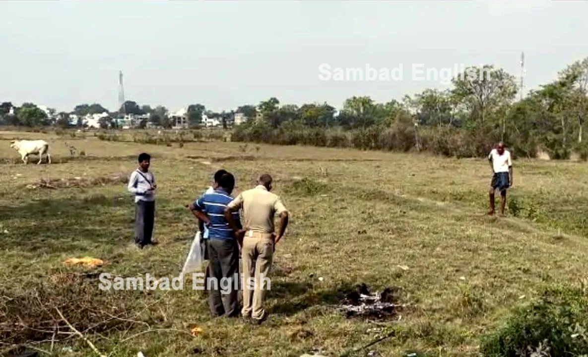  Stray dogs maul newborn to death in Mayurbhanj, locals recover the body