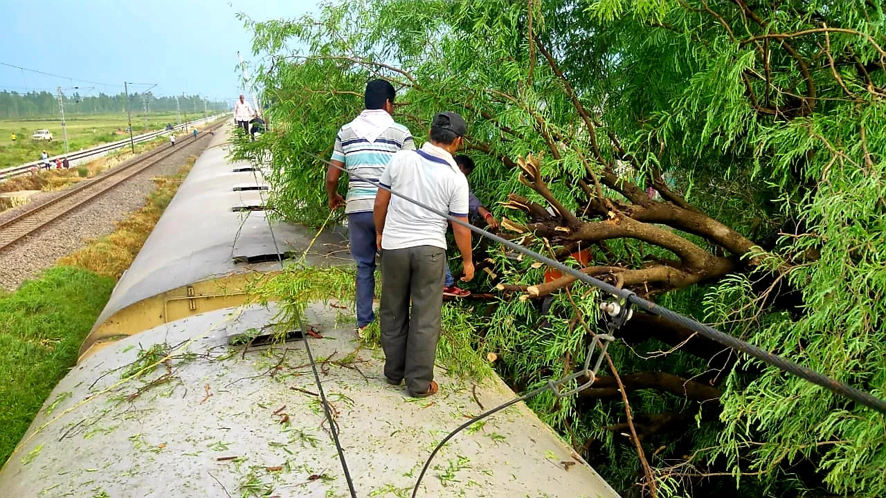  Visakhapatnam-Koraput passenger train stranded as tree falls on it near Odisha’s Rayagada
