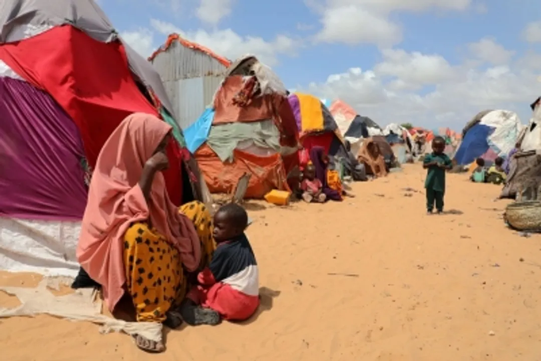  Over 7 mn malnourished kids under 5 in Horn of Africa: Unicef