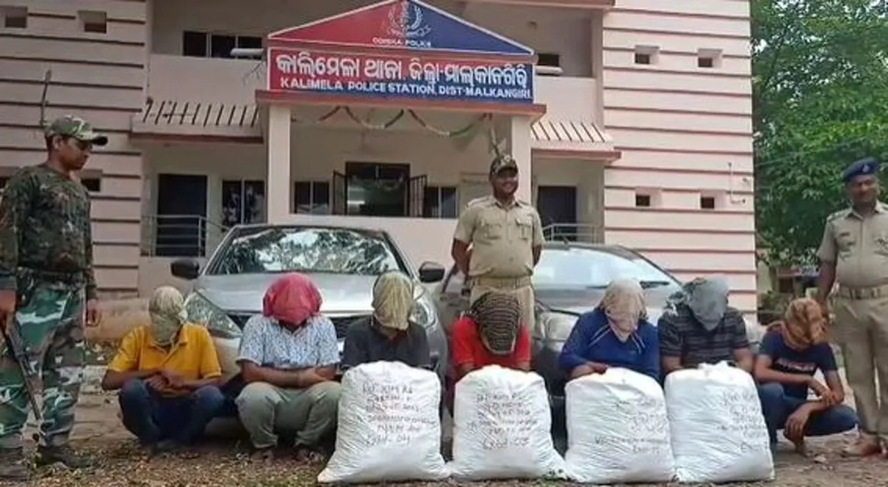 Telangana Police constable among 7 arrested in Odisha for ganja smuggling