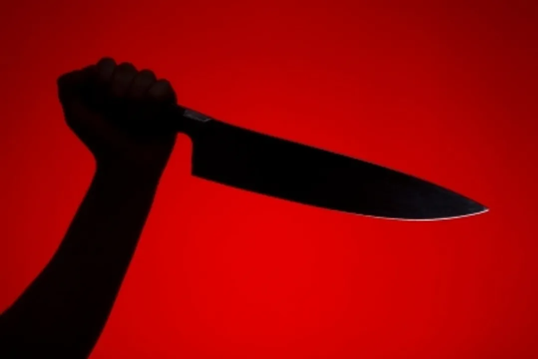  Patna woman stabs husband's private parts 2 days after marriage