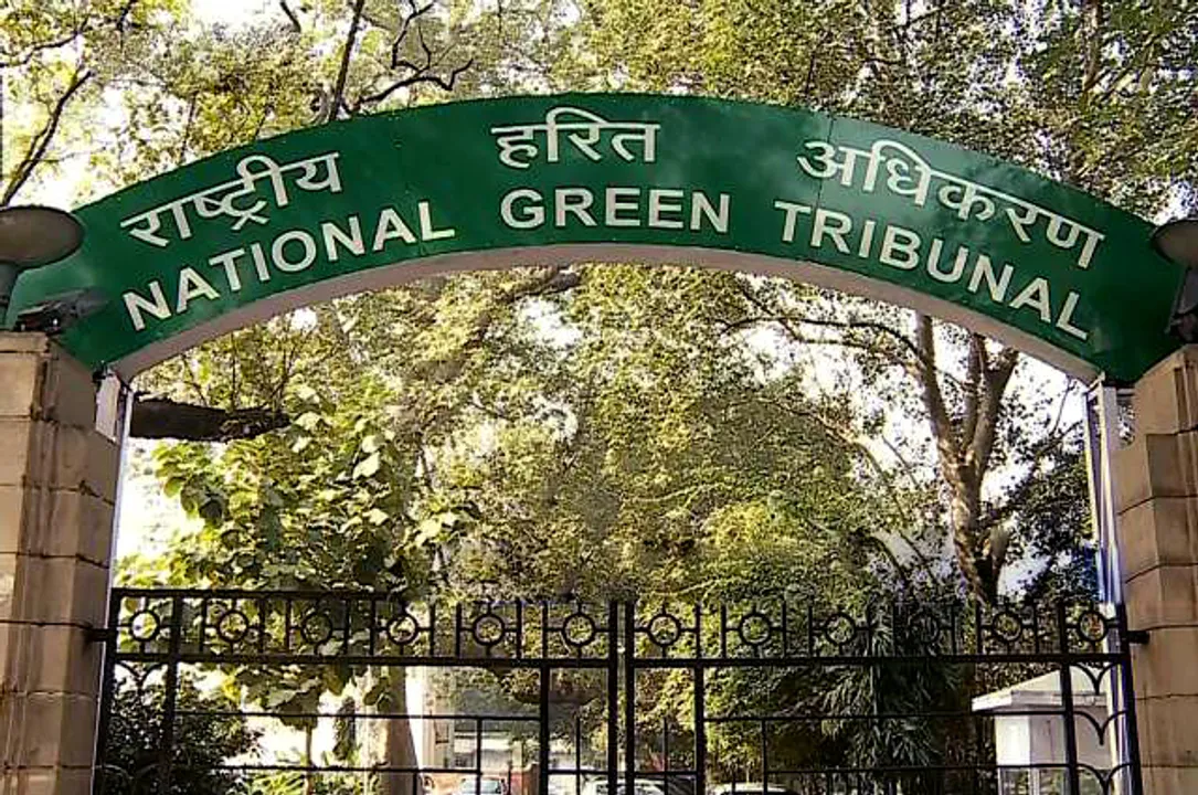  Odisha: NGT negates ongoing constructions in Sikharchandi Hills of State Capital