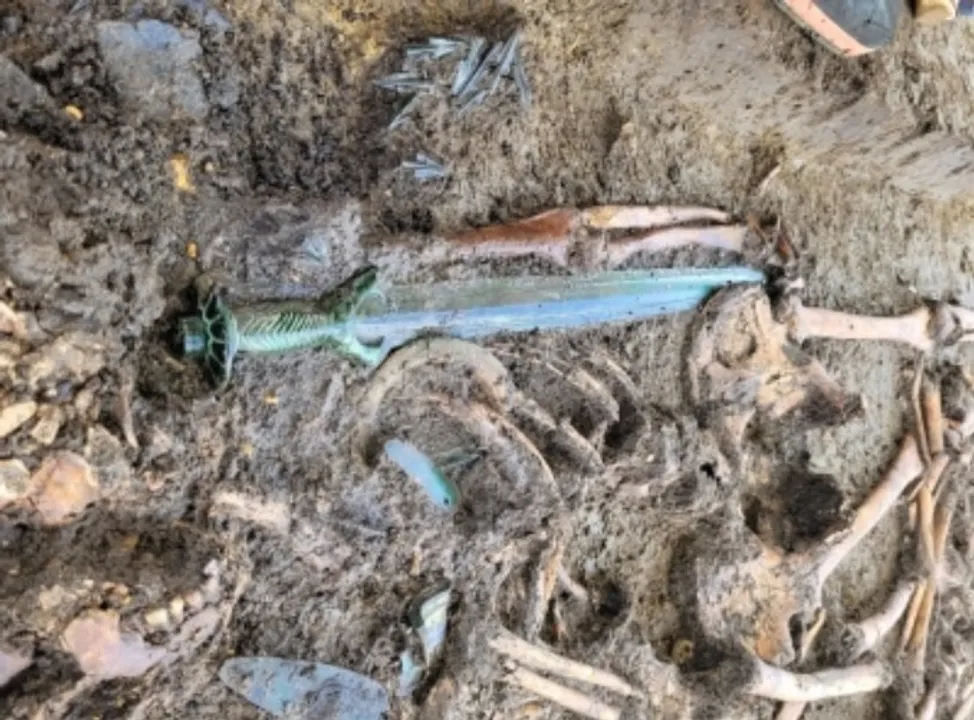  Ancient, well-preserved bronze sword found in Germany