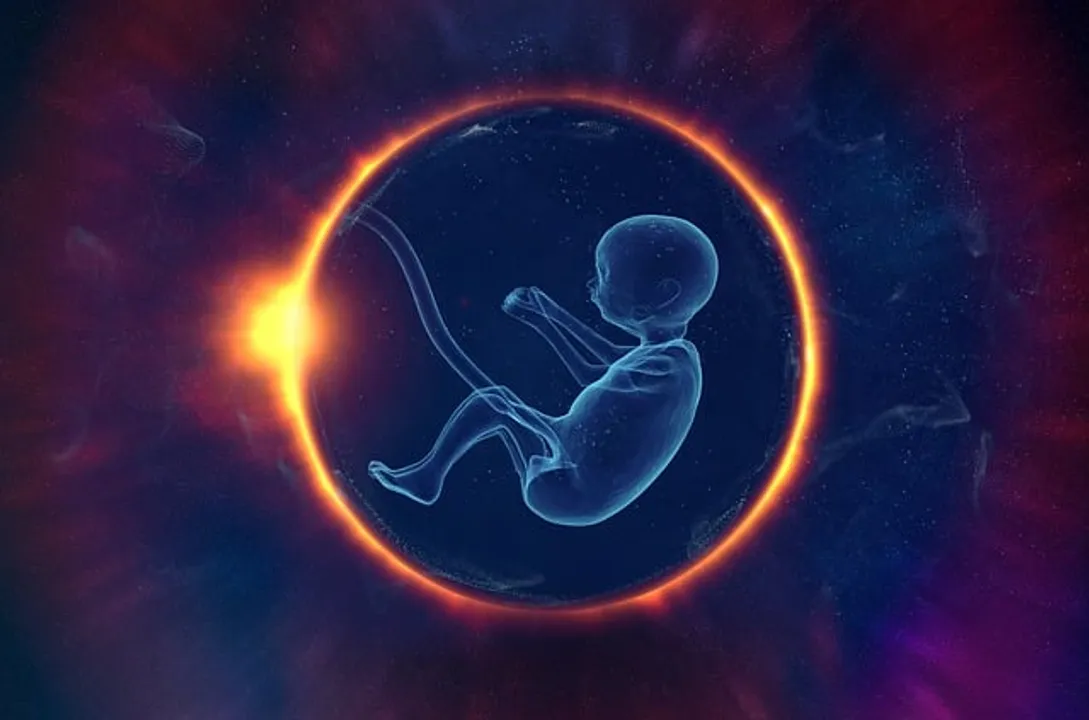  First-ever human synthetic model embryos developed without eggs, sperm