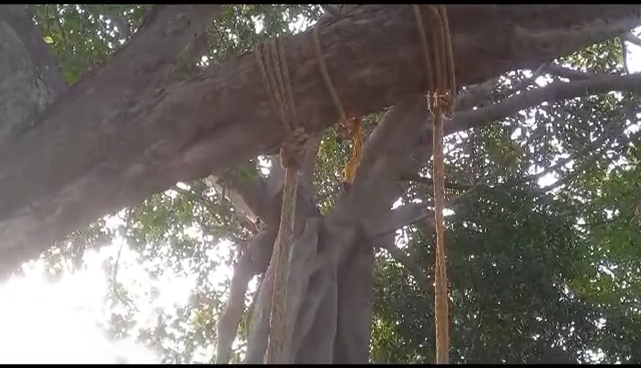  Youth found hanging with Raja swing in Odisha; family smells foul play