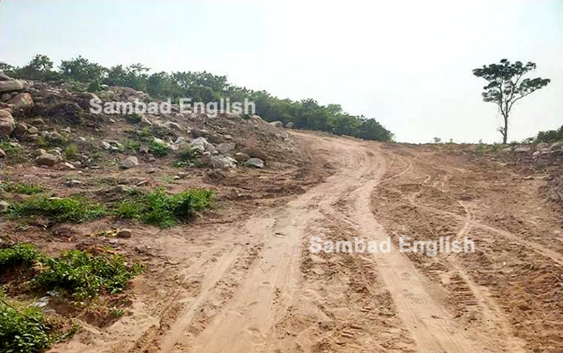  Odisha: OFDC to carry out ‘massive’ plantation drive to compensate the destroyed forest cover in Sikharchandi hill