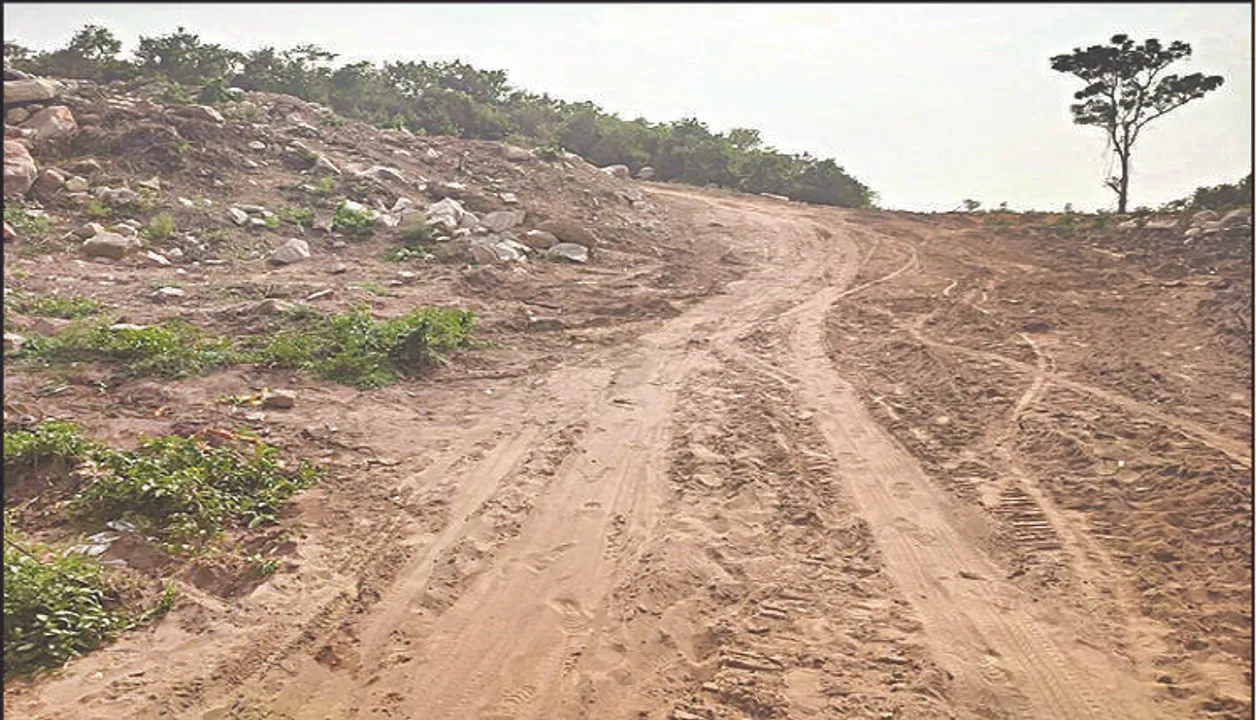  Odisha: NGT penalises BDA Secretary for furnishing ‘incomplete info’ in Sikharchandi case