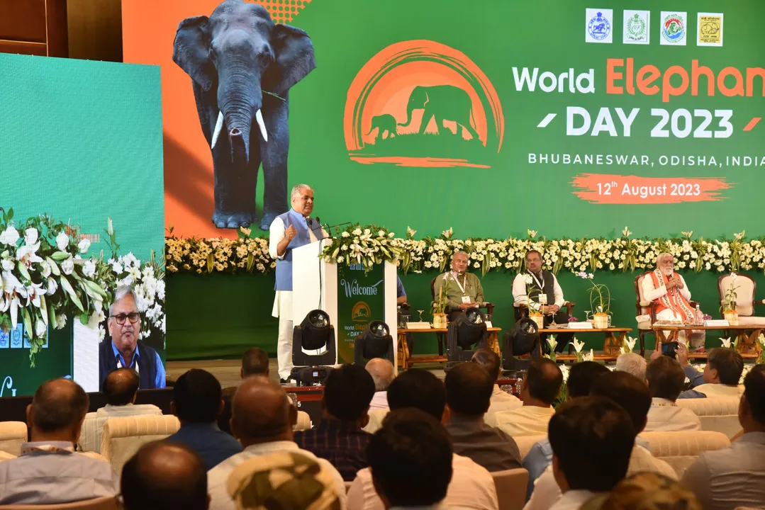  India home to largest population of wild Asian elephants, says Union Minister Bhupender Yadav