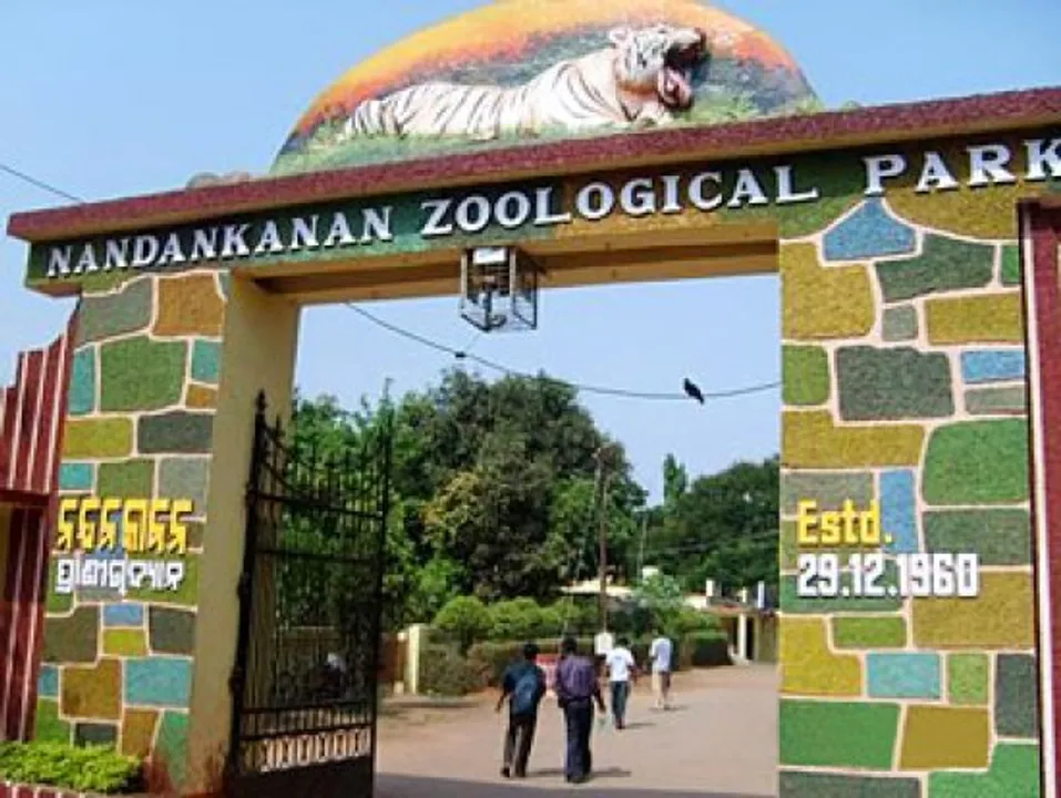  Soon, visitors can enjoy night safari at Odisha's Nandankanan Zoo