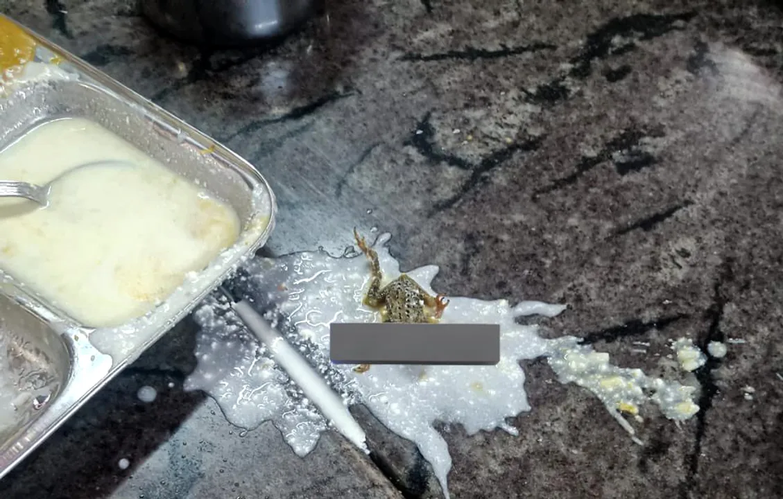  Odisha: Frog found on lunch plate of engineering college in State Capital; hostel inmate reacts on social media