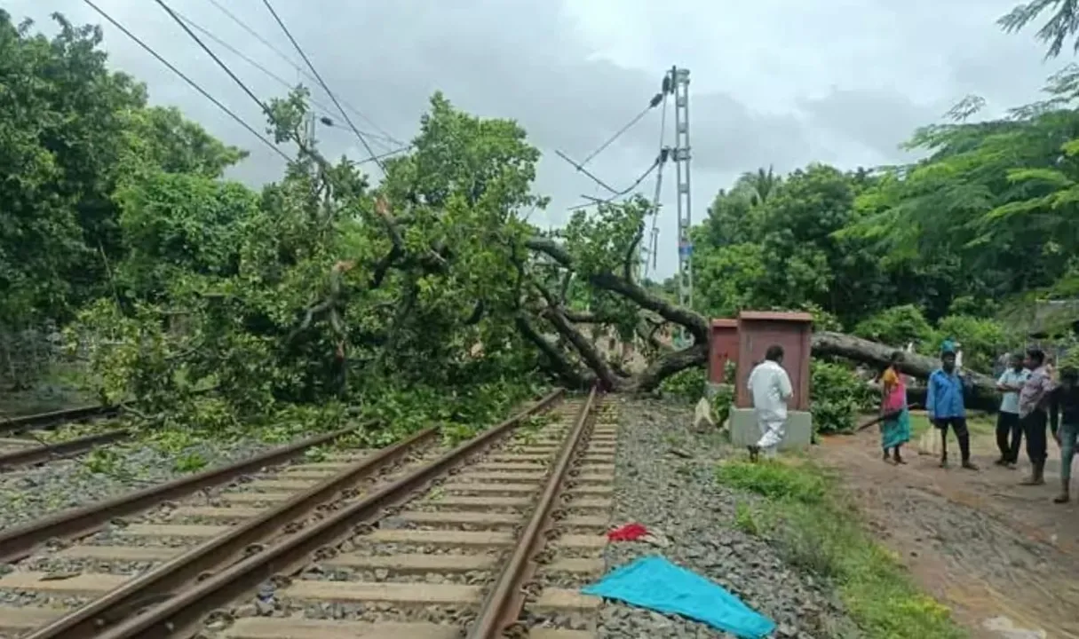  Passengers stranded after tree falls on railway track in Odisha's Mayurbhanj