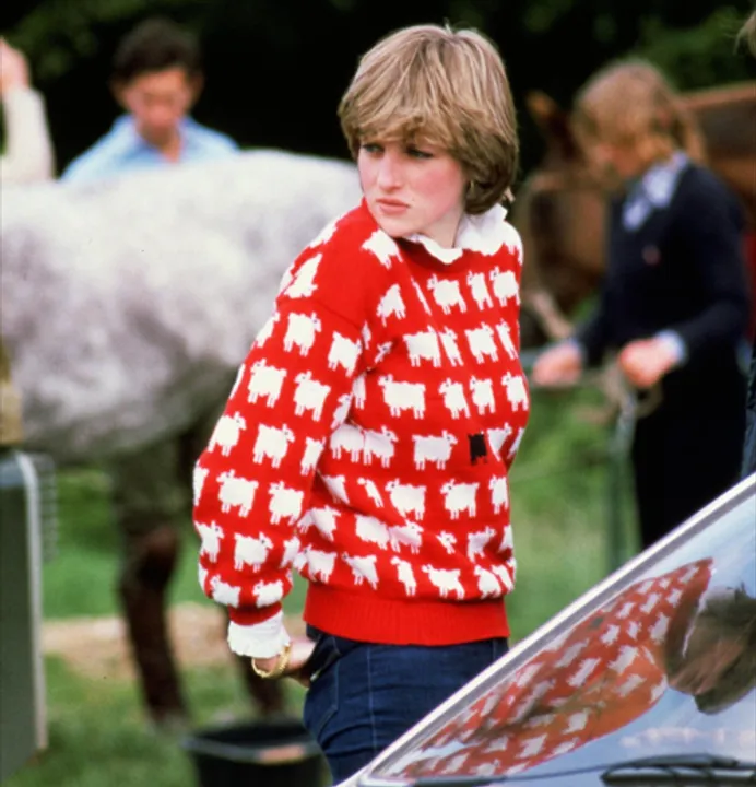  Princess Diana's 'historic' sheep sweater fetches over $1mn at auction
