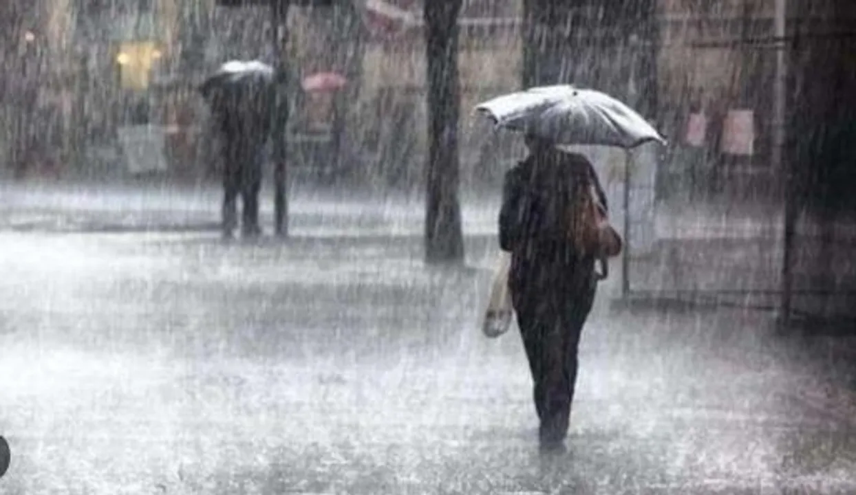  IMD predicts rainfall activities in Odisha districts during next 6 days; check details