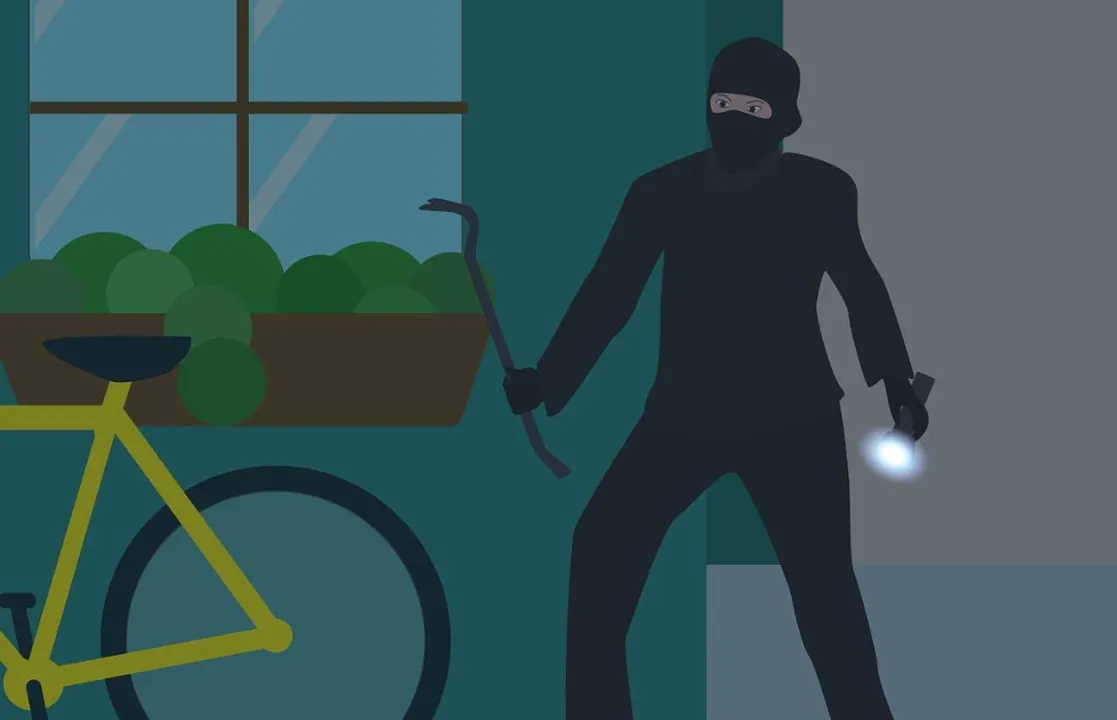  Miscreants loot Rs 7 lakh, gold worth Rs 12 lakh after attacking woman in Odisha's Balasore