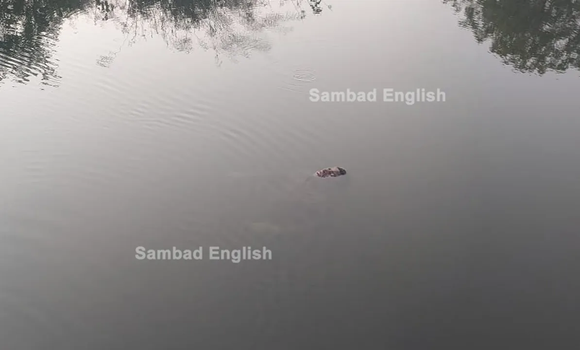  Body of women’s college employee found while floating in river in Odisha’s Bargarh