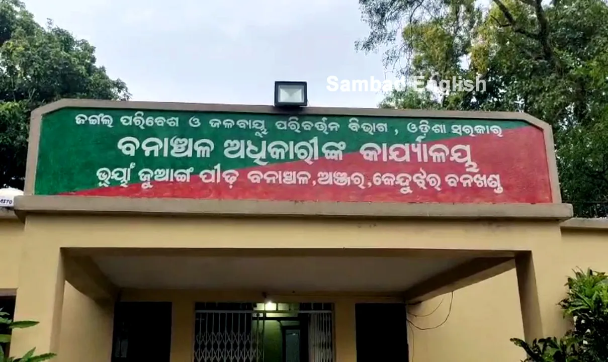  Sick elephant calf dies while undergoing treatment in Odisha’s Keonjhar