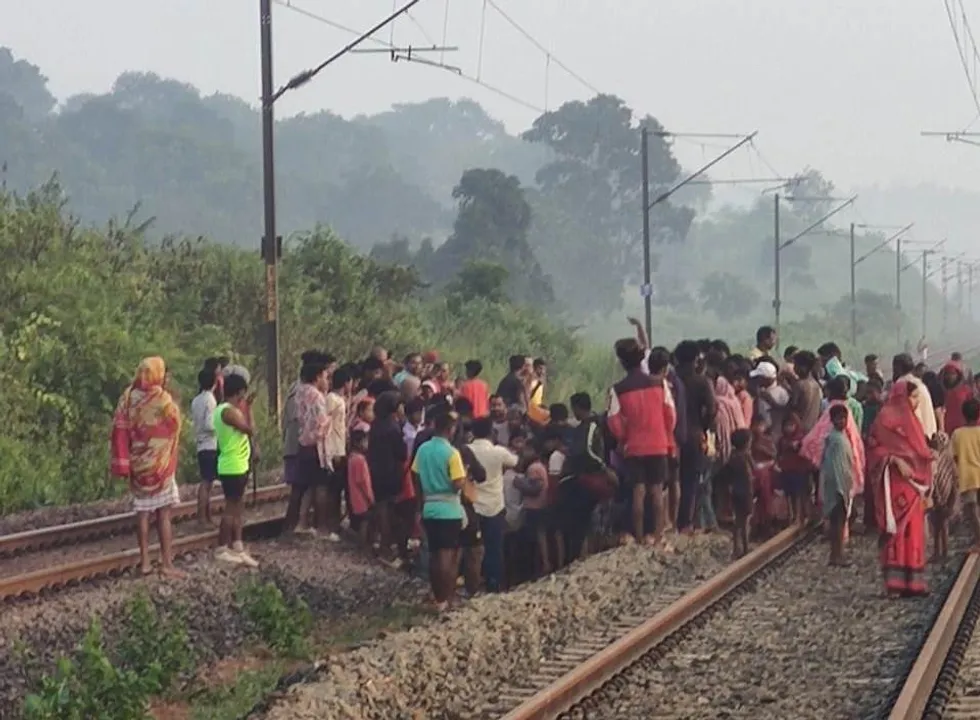  Female elephant dies after being hit by train in Odisha's Keonjhar