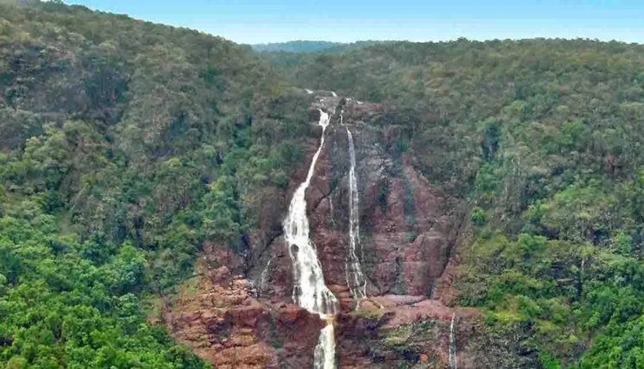  Similipal to reopen for tourists on Oct 14; Know details about entry timing, tickets