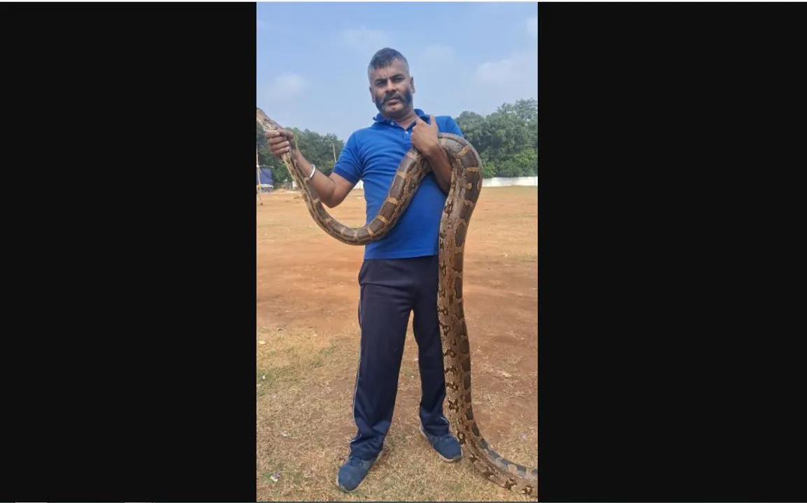 12-foot-long python slithers into SUV bonnet in Odisha’s Steel City; rescued