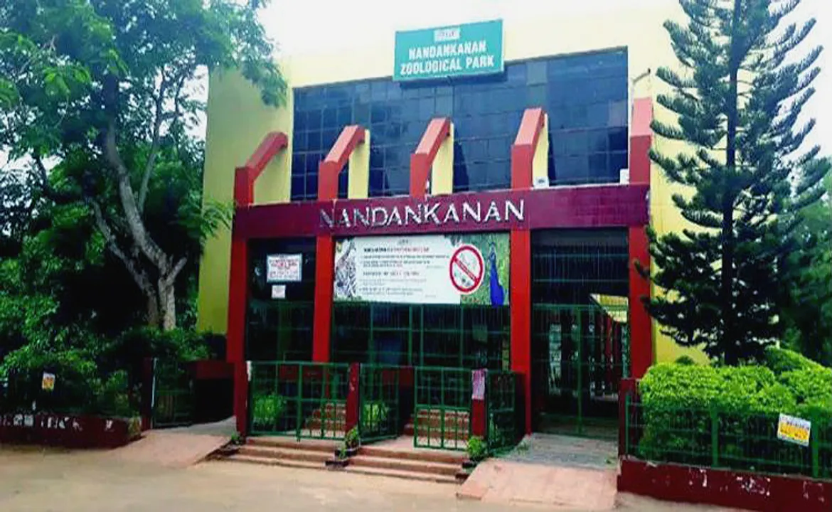  Royal Bengal Tiger 'Nandan' dies at Nandankanan Zoo in Odisha