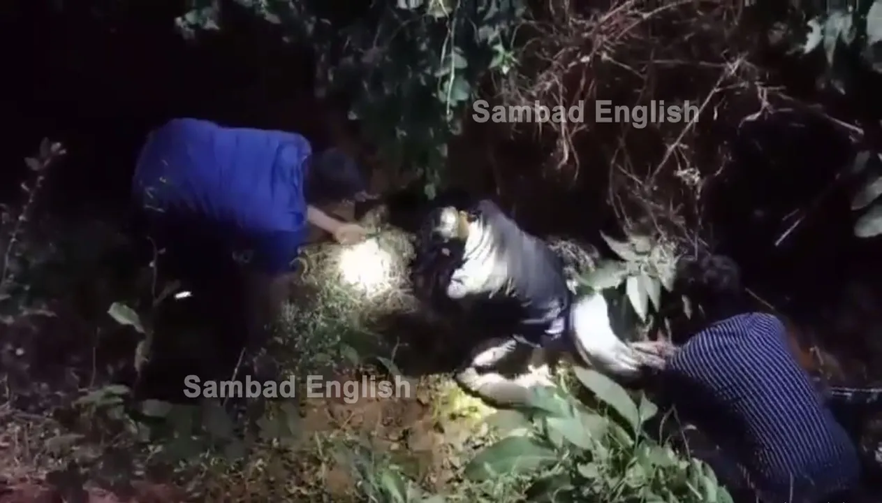  [Watch]: 17 feet-long python rescued from private farm in Odisha’s Dhenkanal
