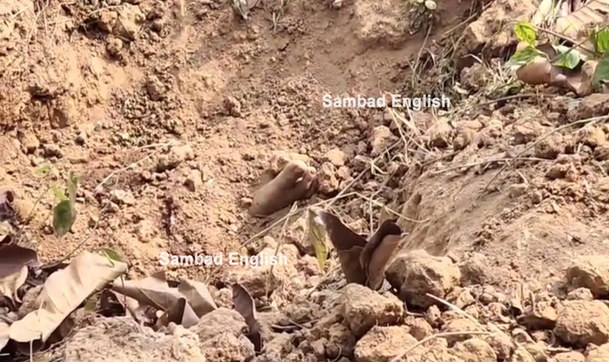  Young woman cut to 31 pieces in Umerkote of Odisha’s Nabarangpur; probe initiated