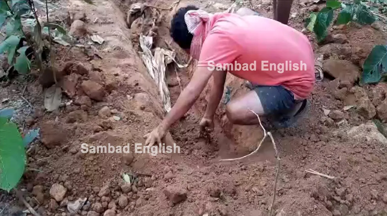  Youth found buried in forest in Odisha’s Mayurbhanj; decomposed body recovered