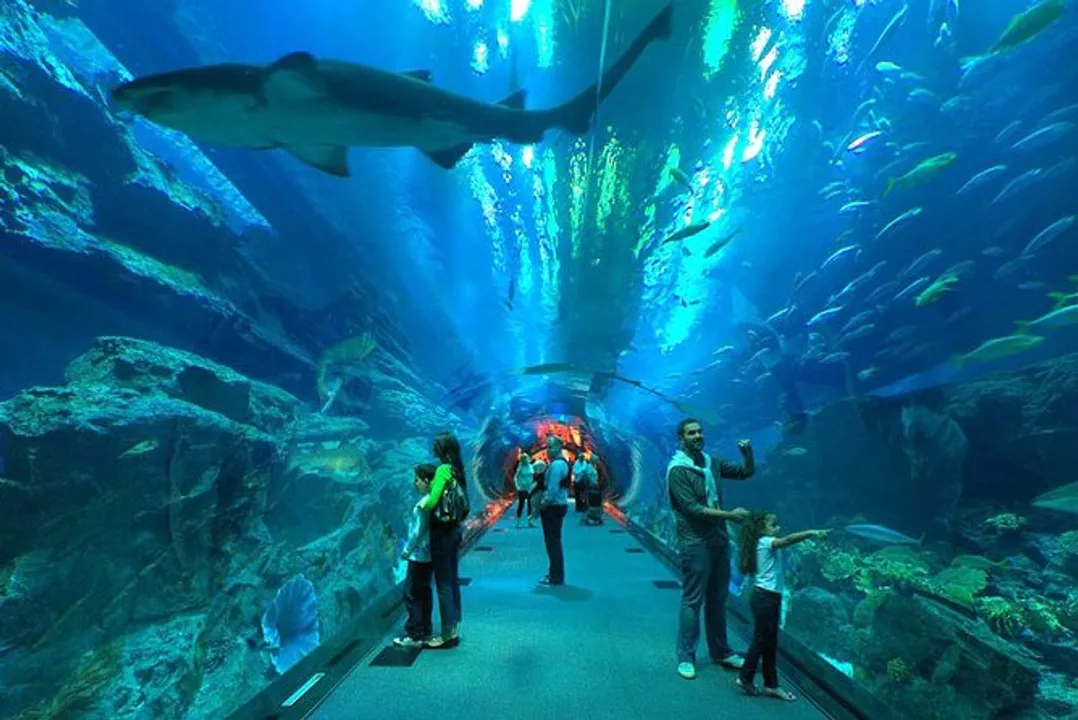  Odisha: Tunnel aquarium treat for visitors at this year’s Cuttack Bali Yatra
