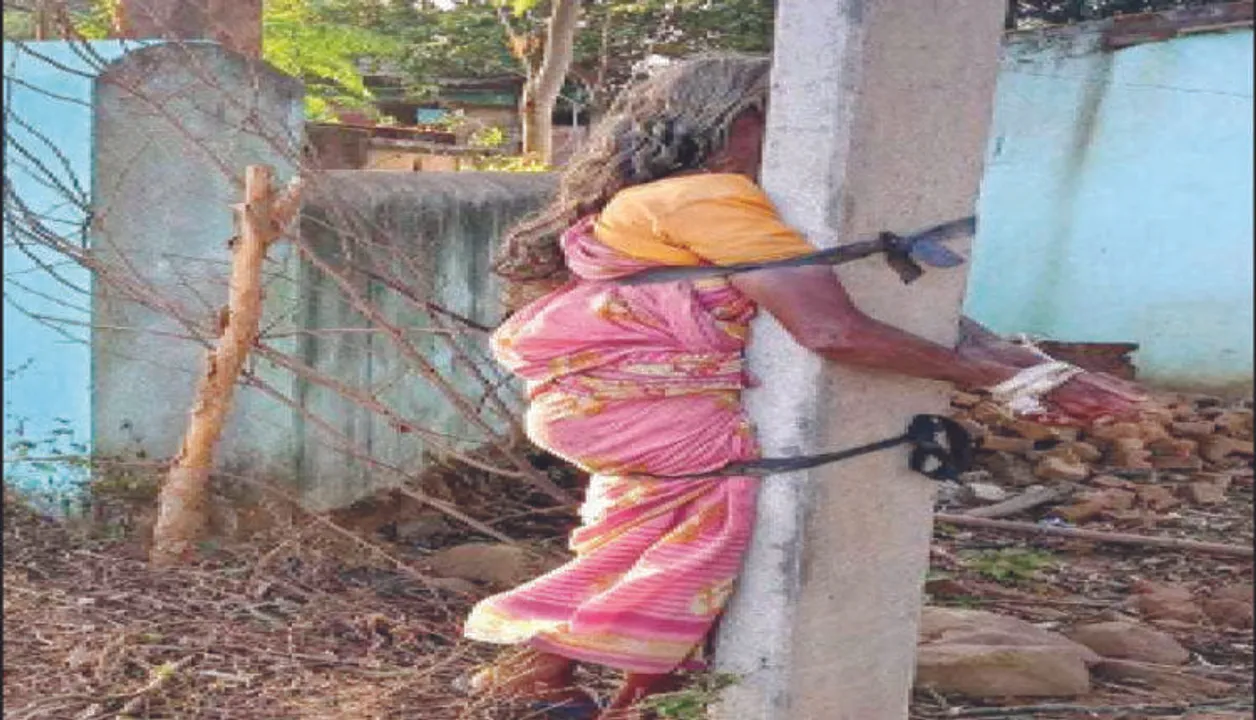  Odisha man thrashes mother, ties her to electric pole for taking cauliflower from farmland