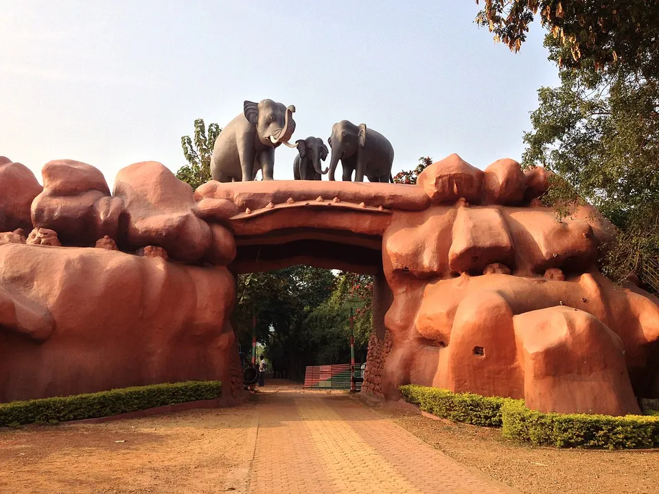 Odisha: Visitors can enjoy night safari at Chandaka sanctuary soon