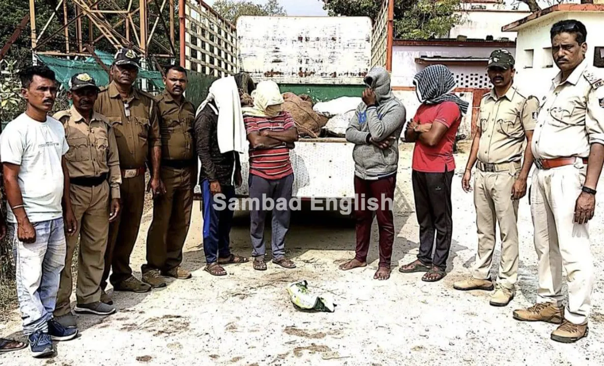  398 live tortoises seized while being smuggled in Odisha’s Malkangiri, 4 detained