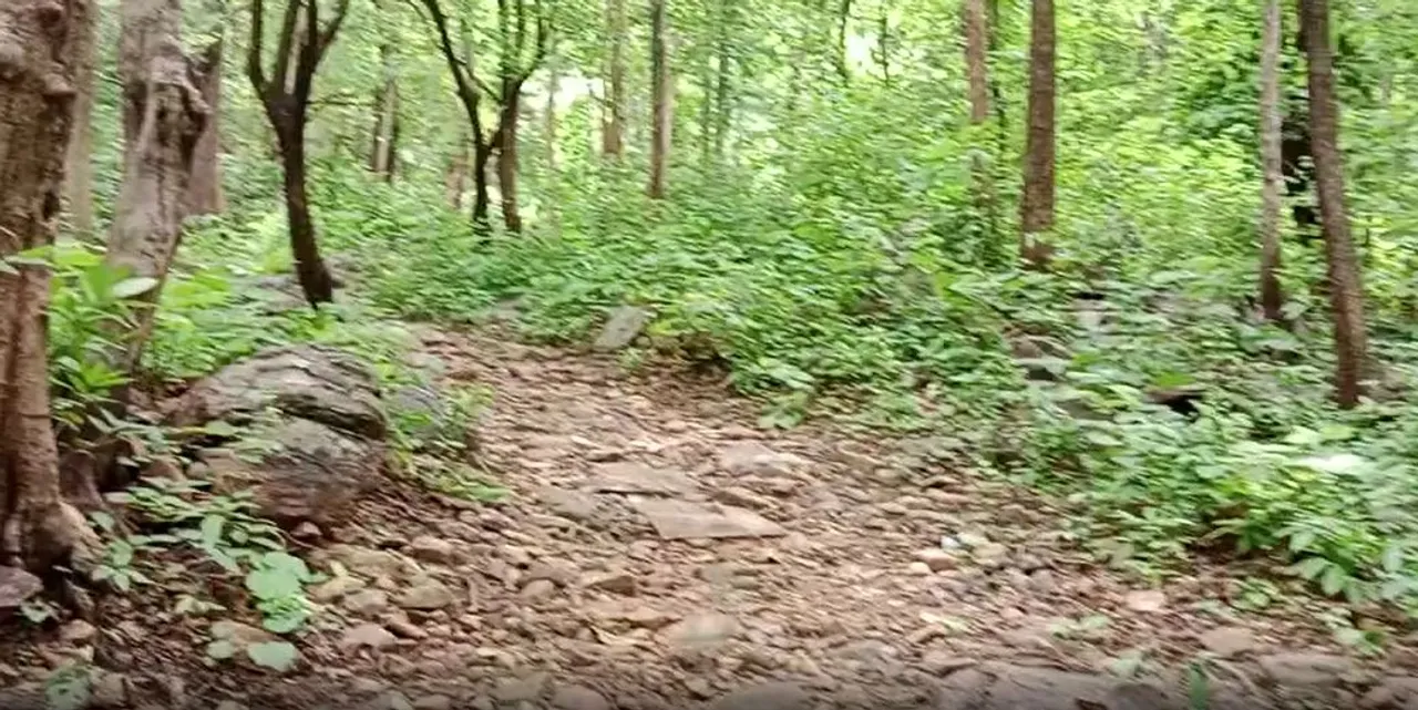  Three jawans injured in landmine explosion by Maoists in Odisha