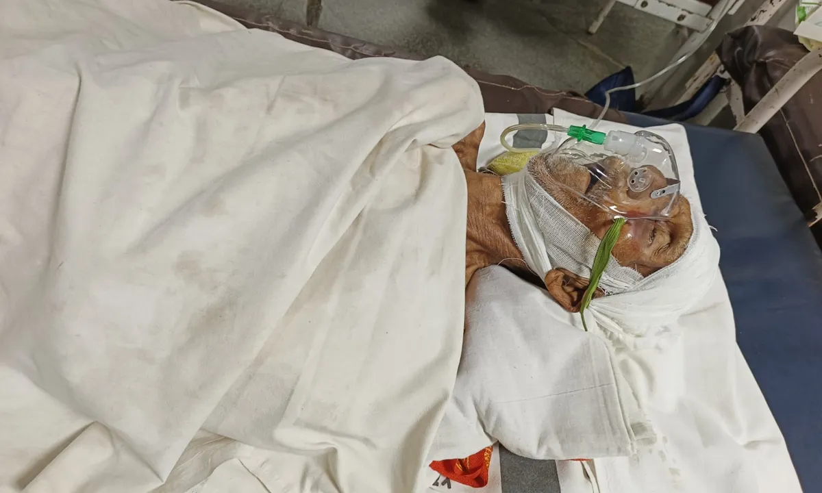  Expert committee formed for treatment of centenarian freedom fighter Nilamani Samal in Odisha’s Cuttack