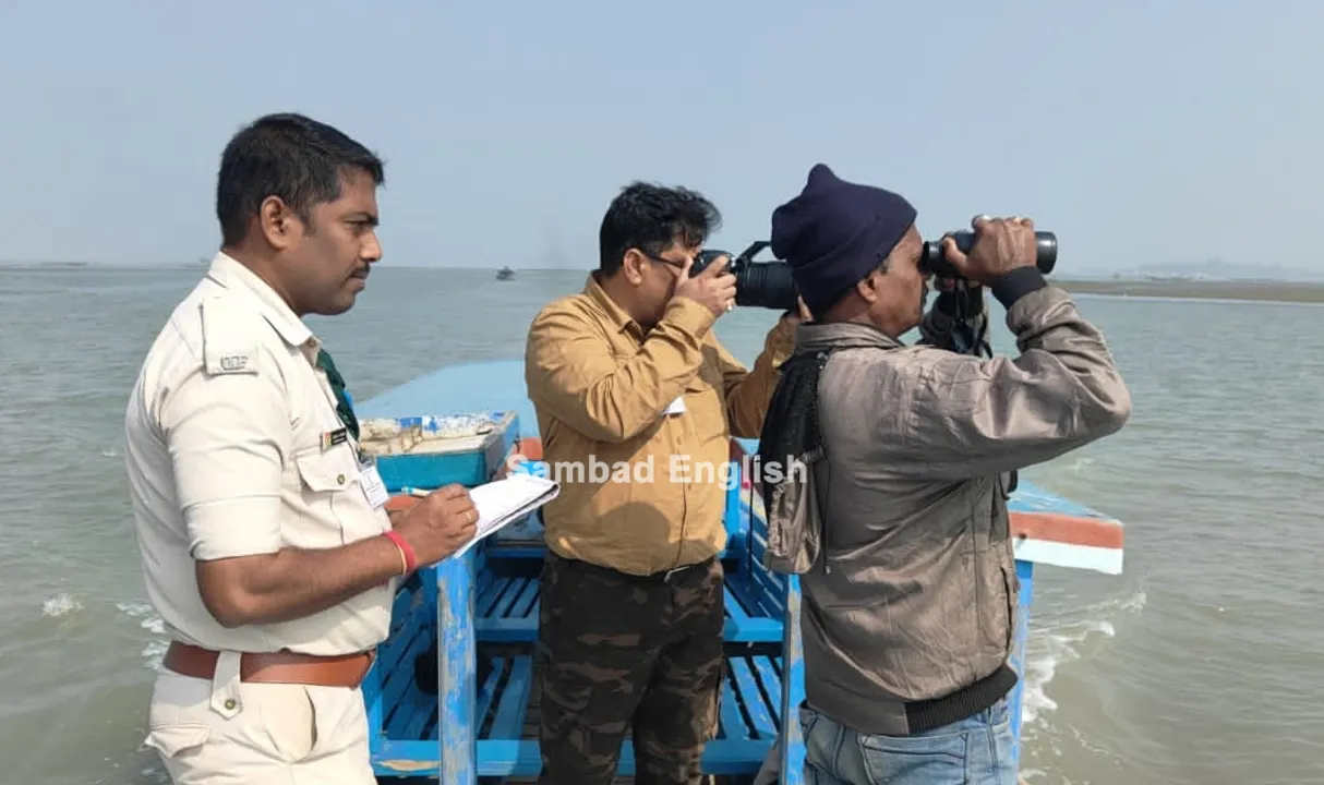  More than 11.37 lakh avian guests of 187 species throng Odisha’s Chilika lake