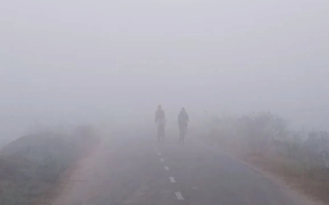  Yellow Warning for dense fog: SRC asks District Collectors to help prevent road accidents in Odisha