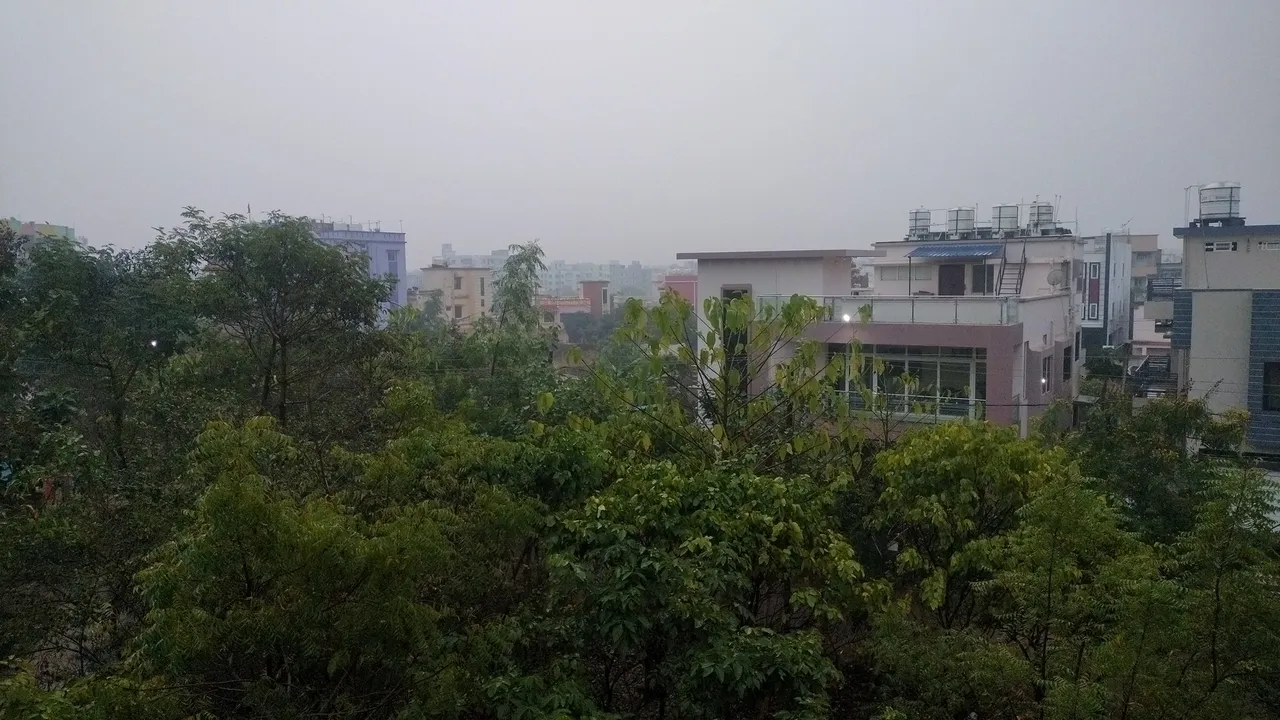  Chilly weather grips Odisha as min temp likely to fall in coming days