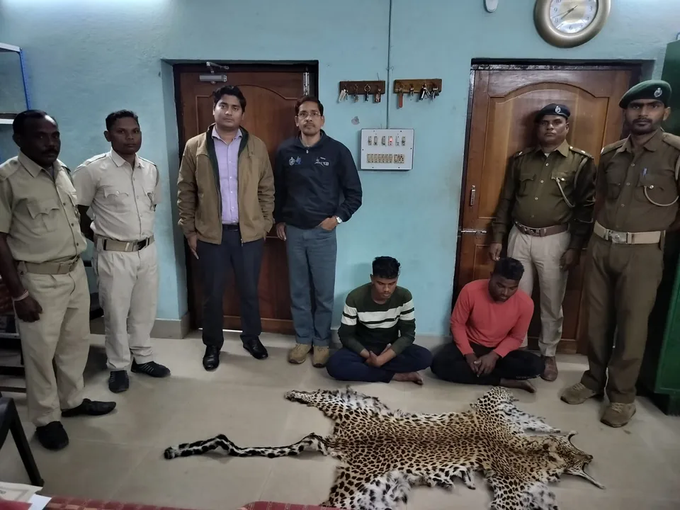  Leopard skin seized in Odisha's Boudh; two held