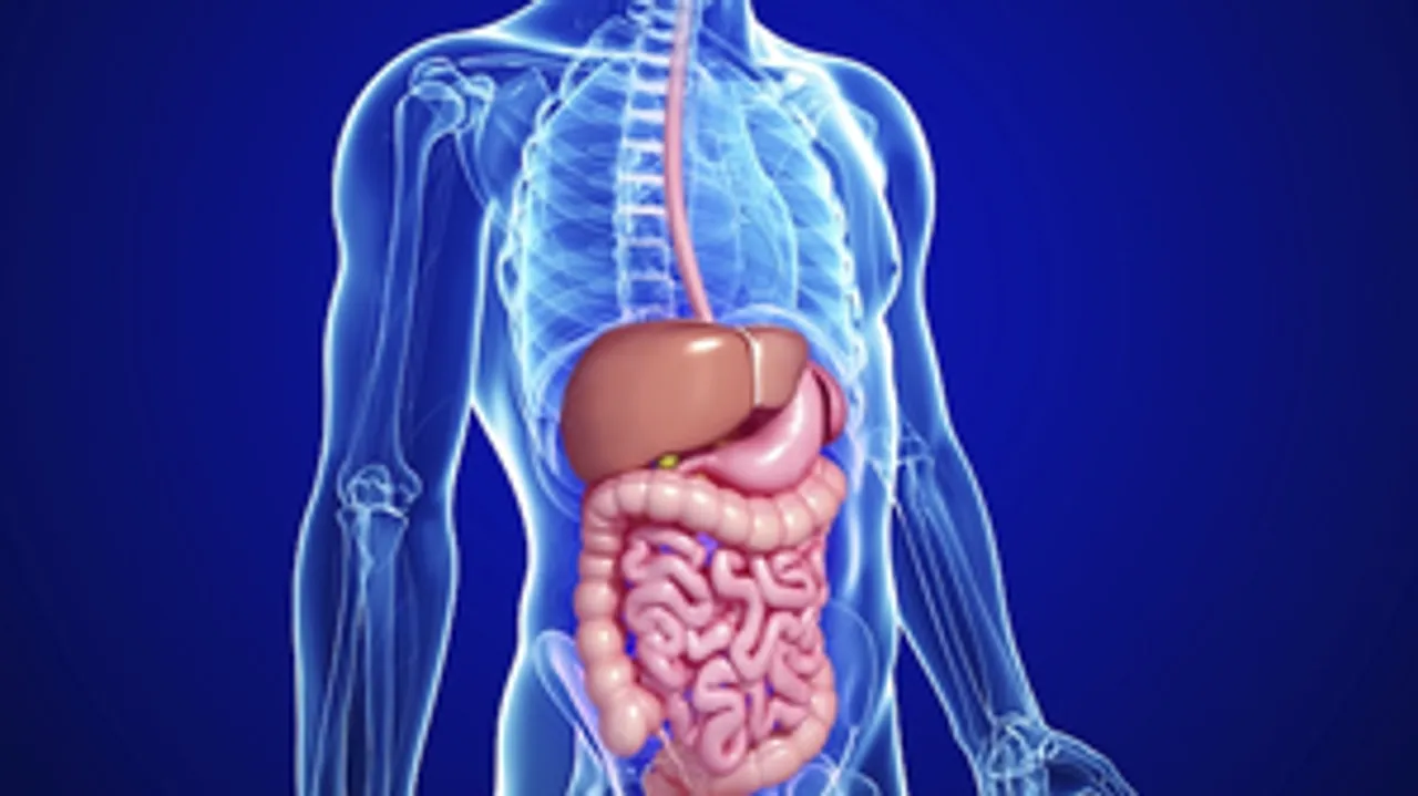  Preservatives used in food have unexpected effects on gut microbiome: Study