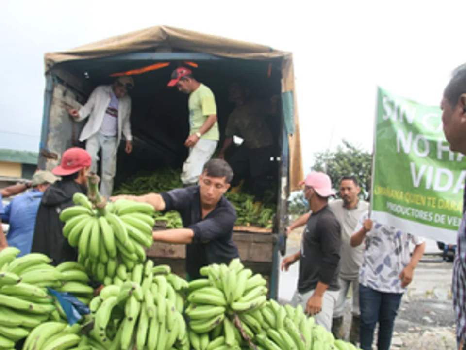  India exports bananas to Russia after Moscow stops purchase from Ecuador
