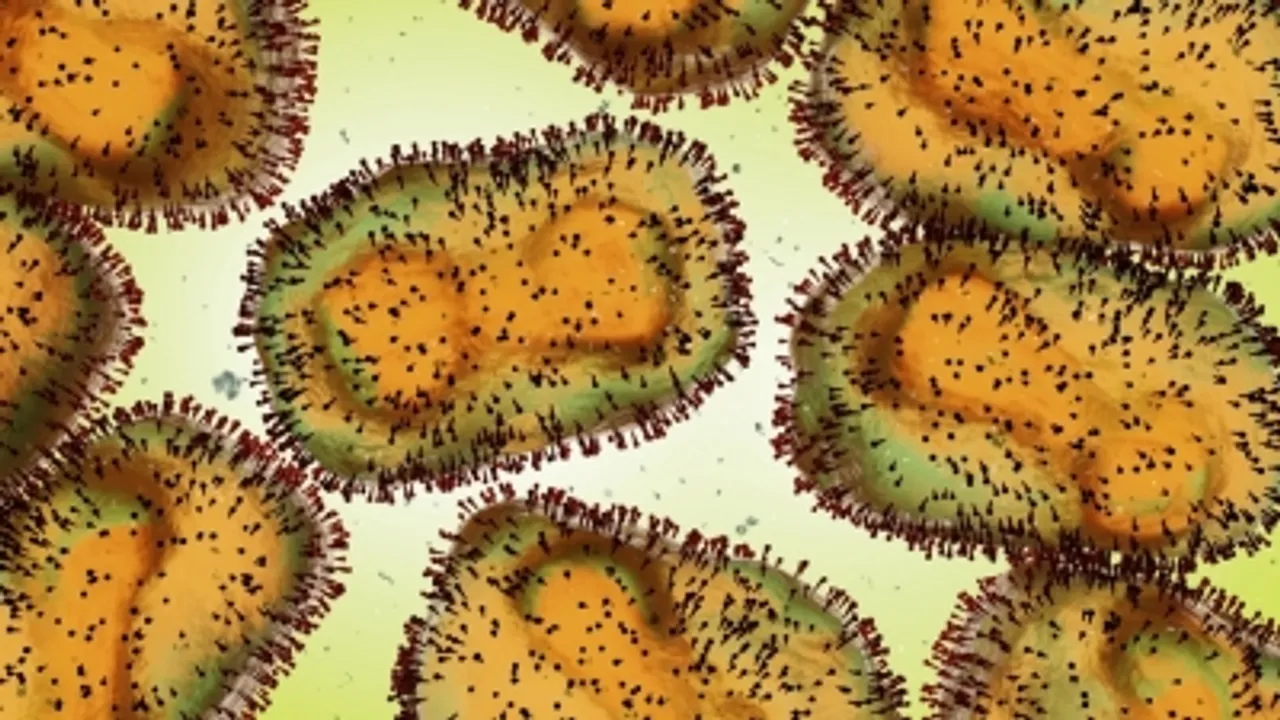  Study decodes how mpox virus infiltrates brain cells