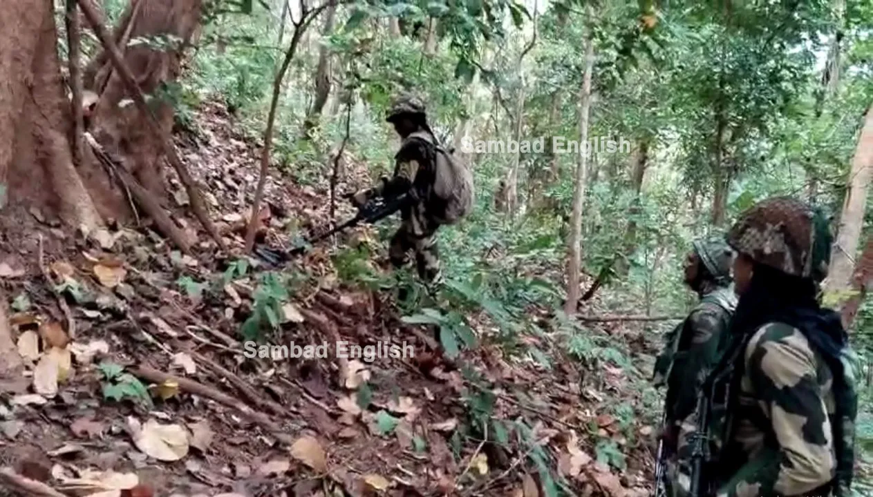  BSF unearths multiple Maoist dumps in Silakota reserve forest in Odisha's Malkangiri