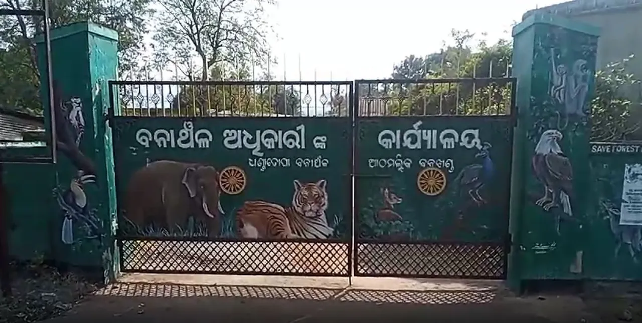  Leopard found dead in Odisha's Angul; poaching suspected