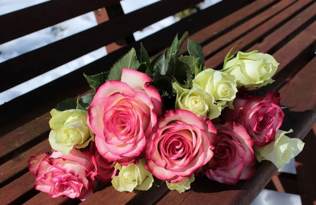  Happy Valentine's Day 2024 Wishes, Quotes, Messages, Greetings